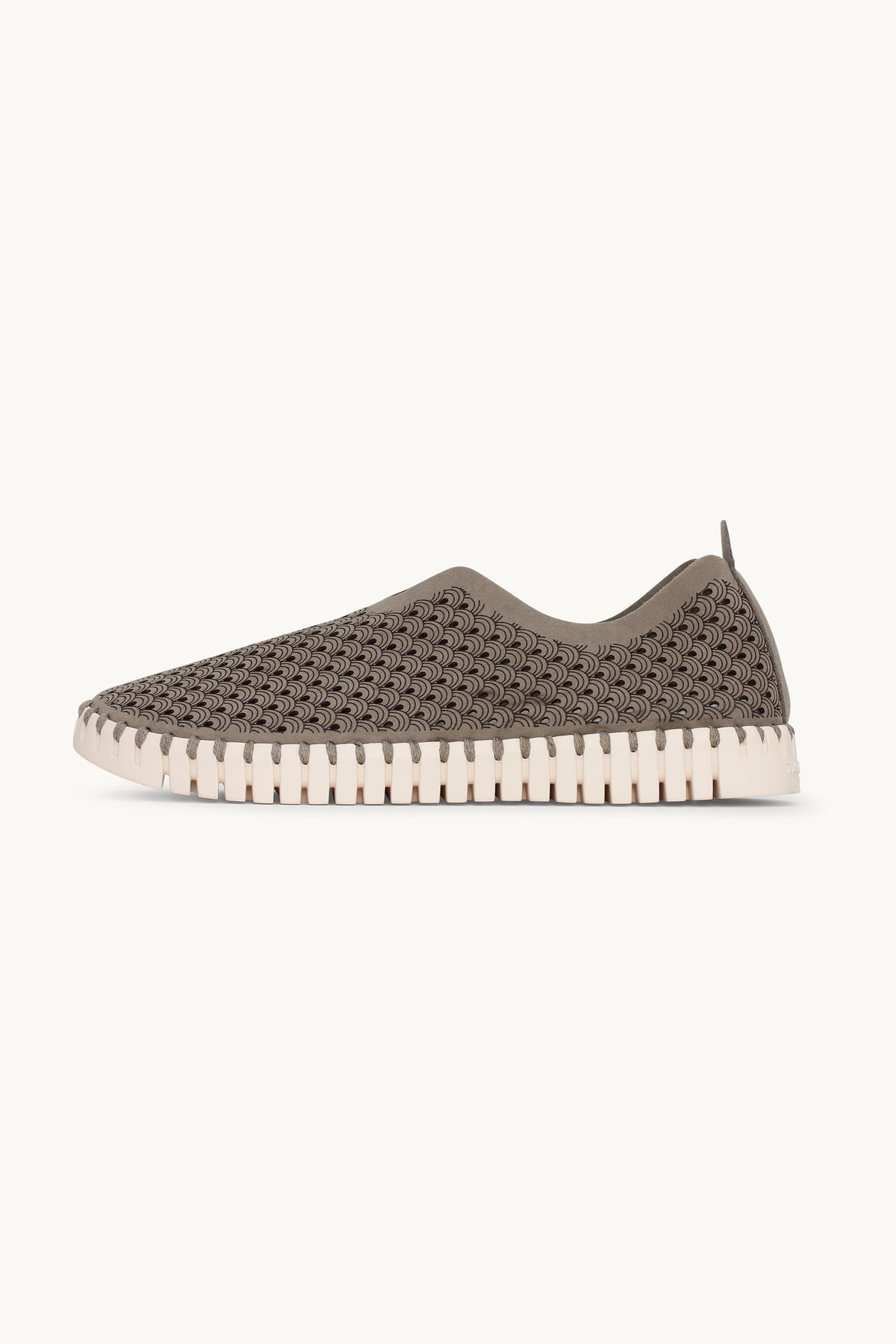 Tulip Sko - Falcon